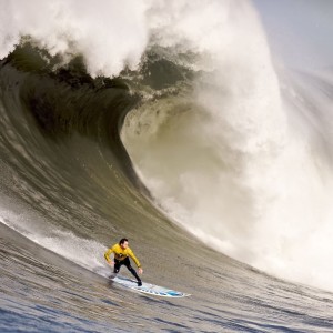 igame vip-赛事亮点：冠军之路的艰难历程，冠军之路是什么