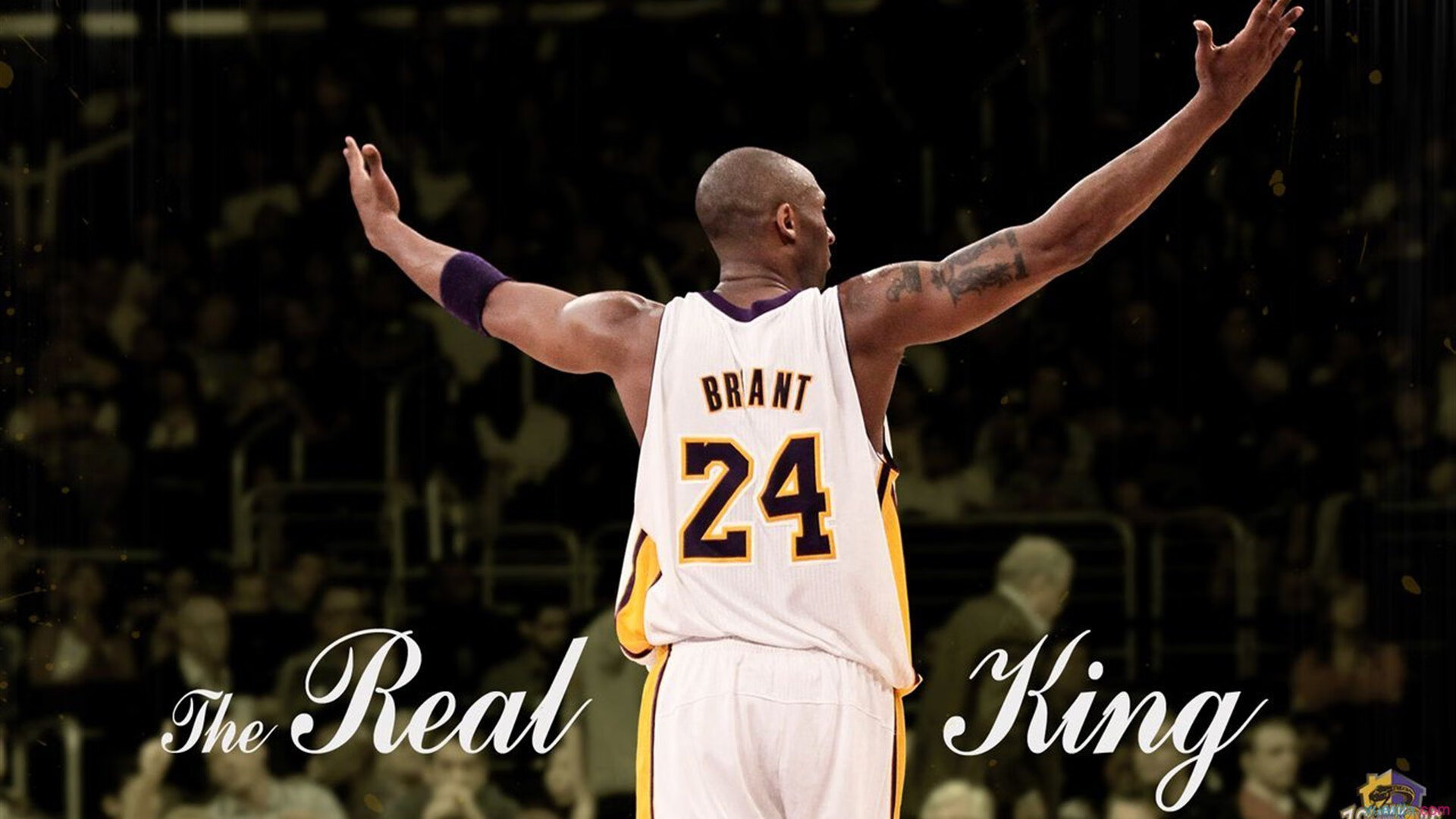 _青少年创意运动会:创新科技点燃青春_,青少年科技运动会的意义