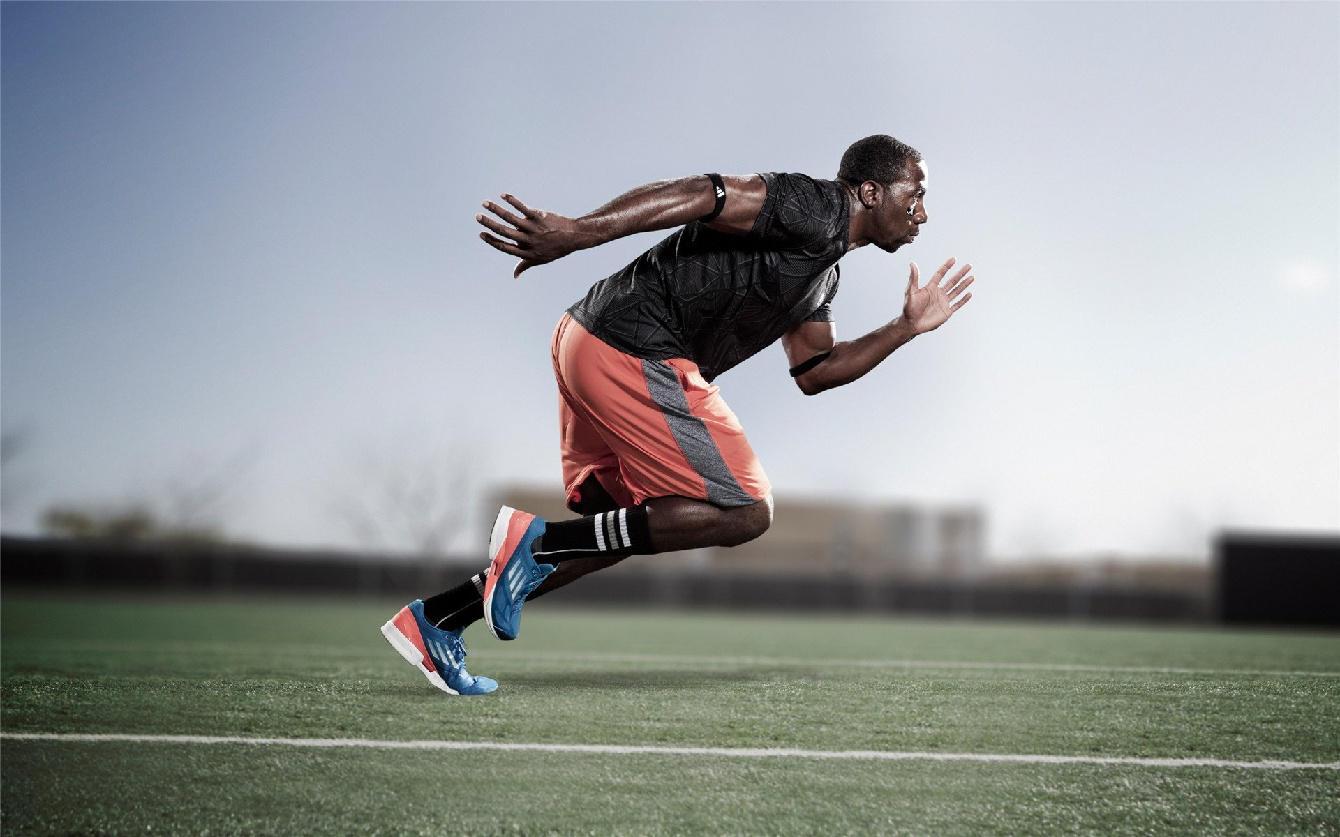 “未来新星：年度潜力排名榜单”，未来潜力新品